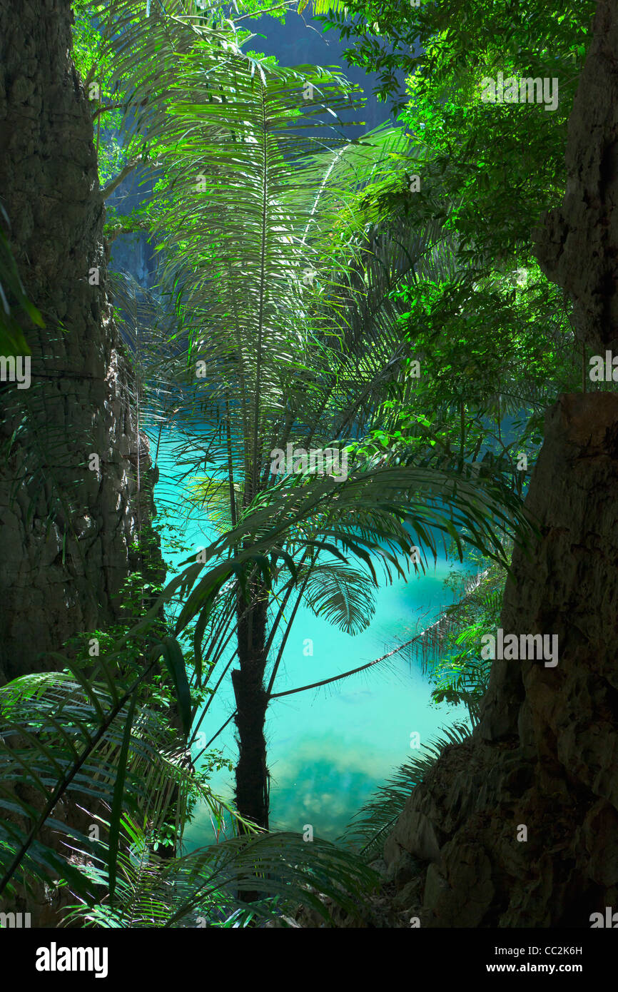 Sa Phra Nang (santa Principessa pool), una laguna in Laem Phra Nang, Railay, Thailandia. Foto Stock Sa Phra Nang (santa Principessa pool), una laguna in Laem Phra Nang, Railay, Thailandia. Foto Stock