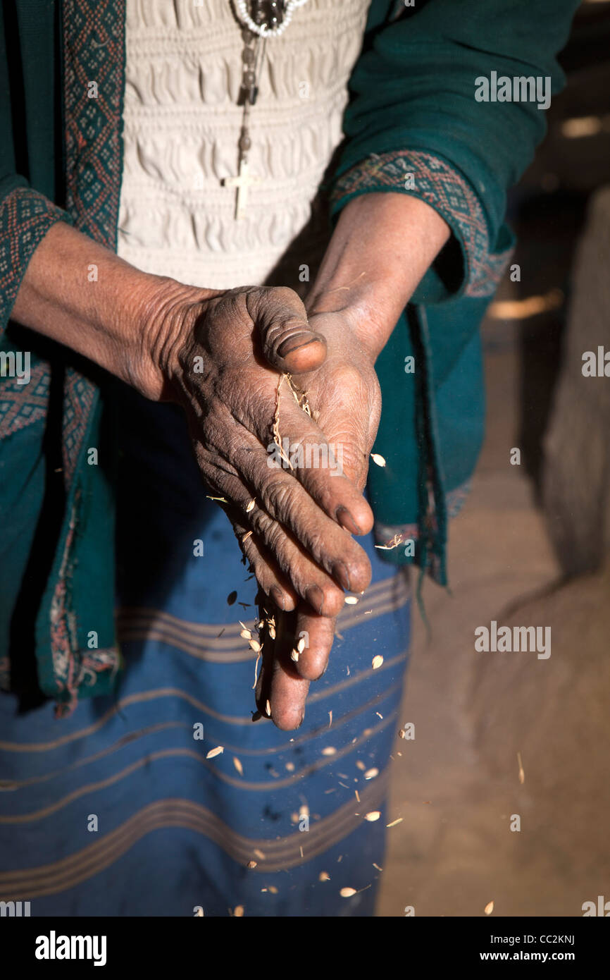 India, Arunachal Pradesh, Ziro Valle, Hari village mill, mani di donna Apatani de-mondatura di granella per essere macinato Foto Stock