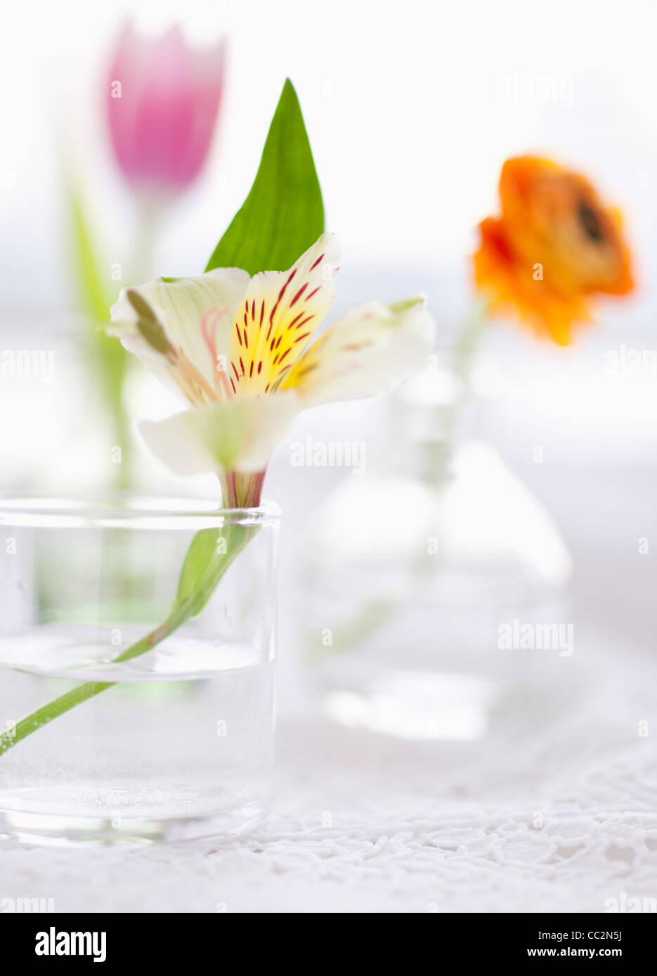 Natura morta con fiori freschi nei vasi Foto Stock