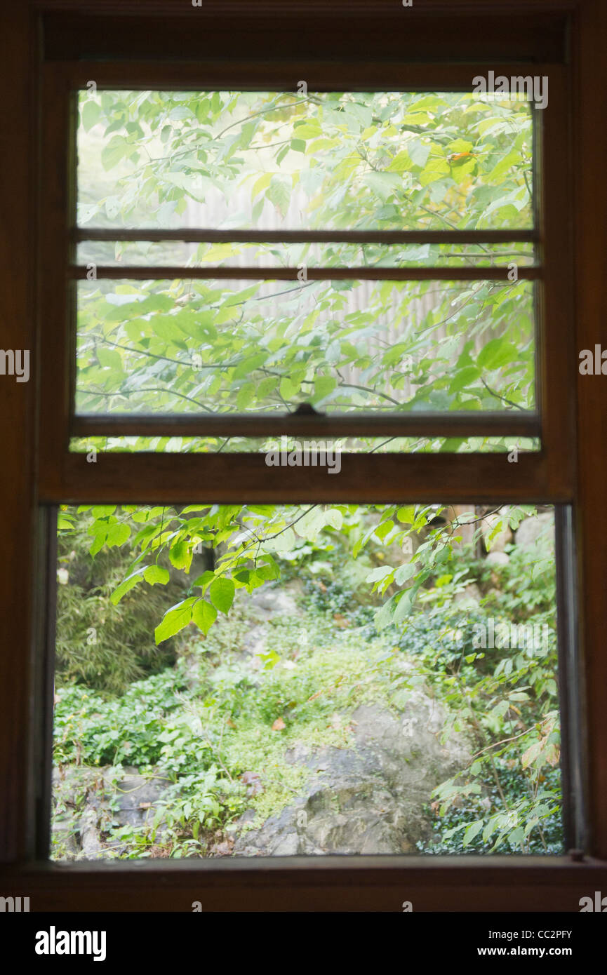 Stati Uniti d'America, New York, valle di Putnam, ruggente torrente Lago, Close up del ramo dietro la finestra Foto Stock