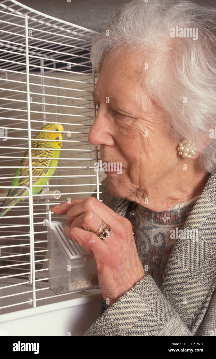 Donna anziana e budgie Foto Stock