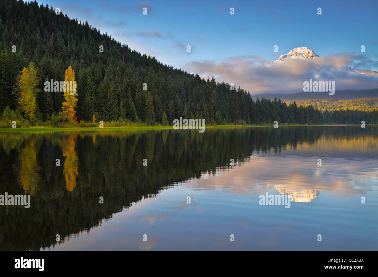 Stati Uniti d'America, Oregon, Multnomah County, Trillium Lago Foto Stock