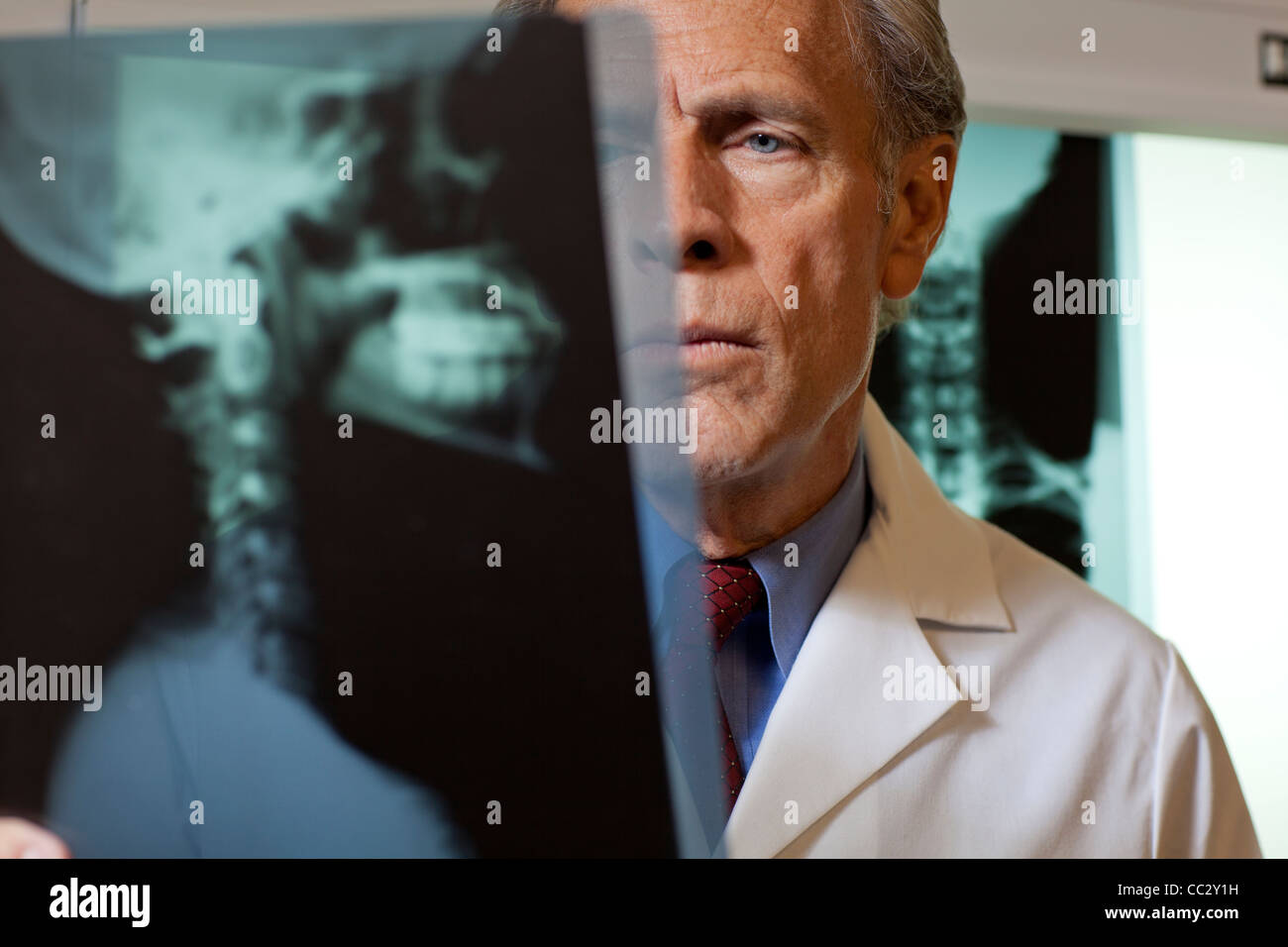 Stati Uniti d'America, Arizona, Phoenix, medico guardando a raggi x Foto Stock