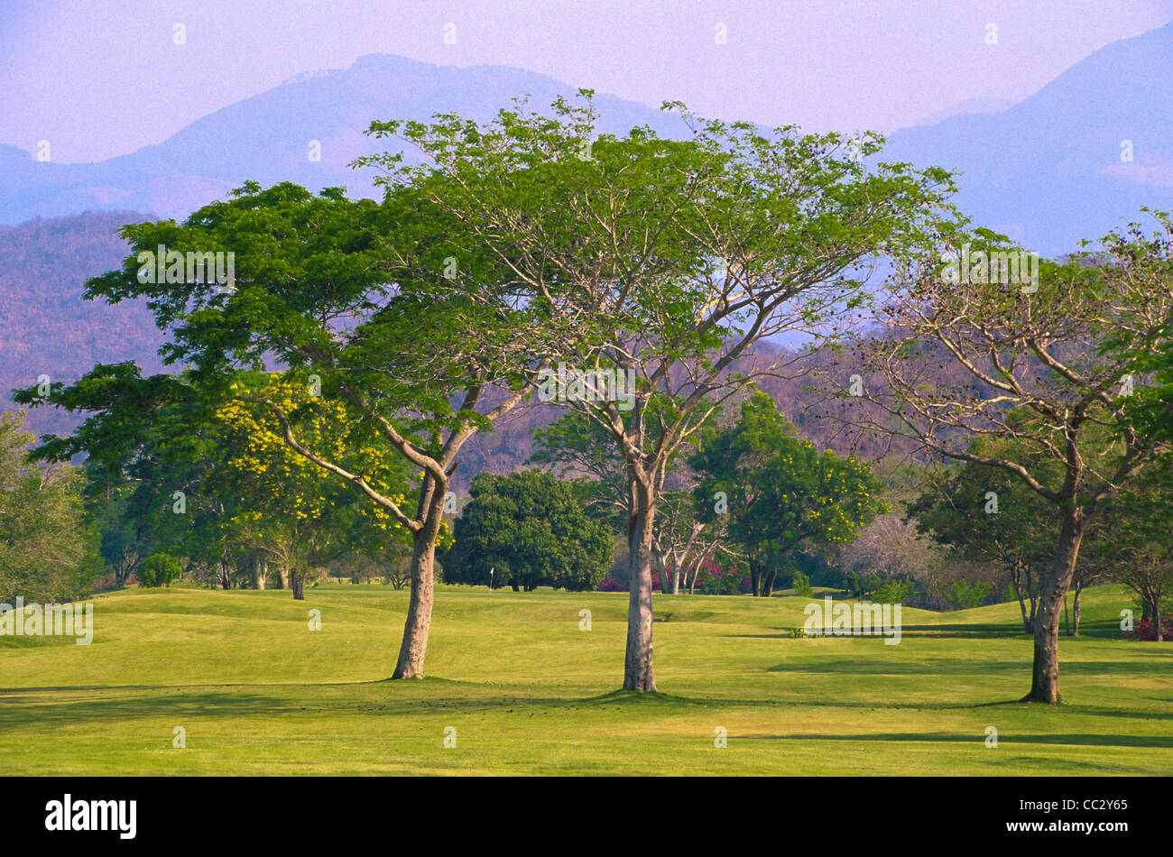 Messico Oaxaca, Huatulco, Baia di Tangolunda, campo da golf Foto Stock