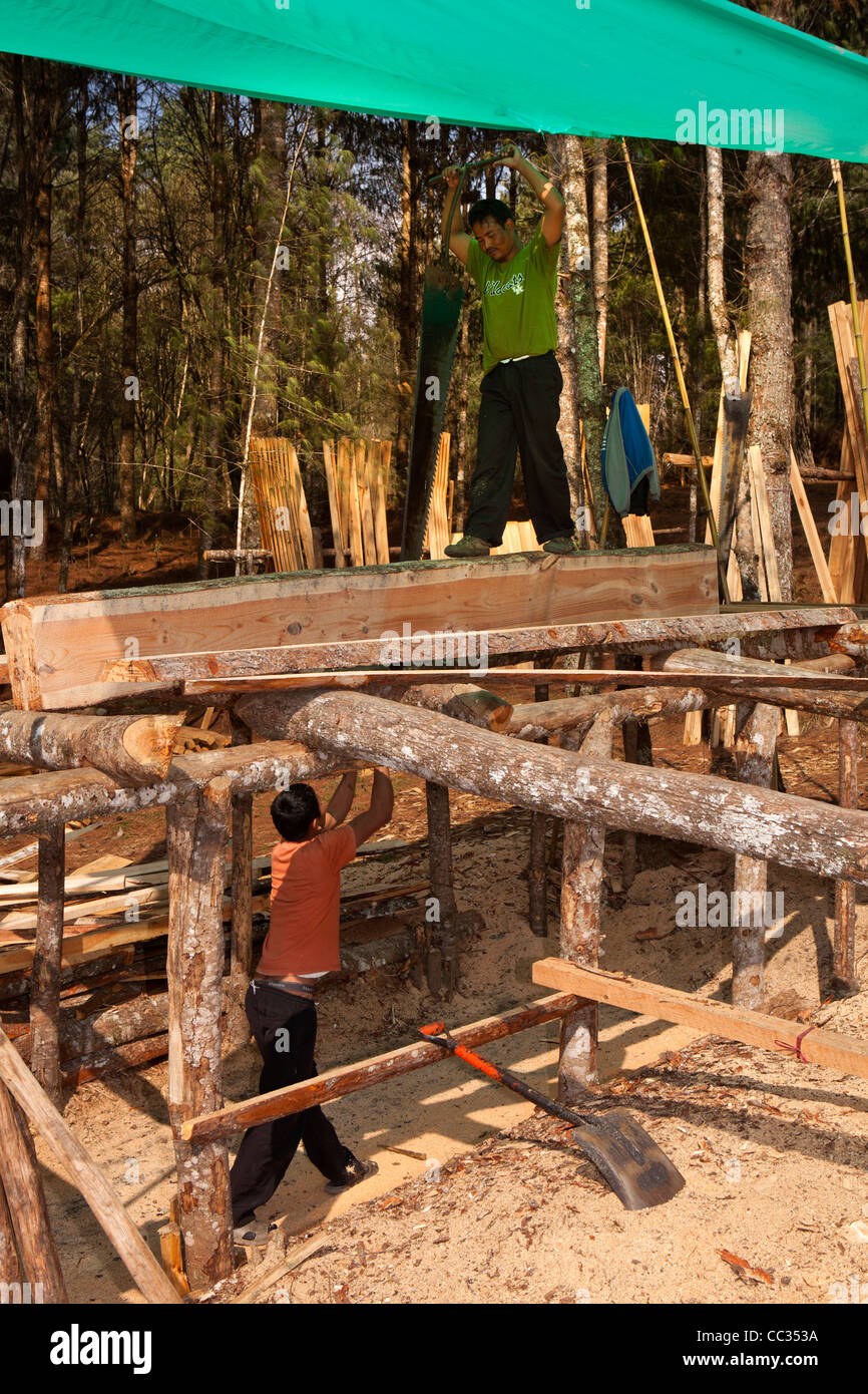 India, Arunachal Pradesh, Ziro Valle, silvicoltura, uomini registro segare a mano in tavole con due mani sega pit Foto Stock