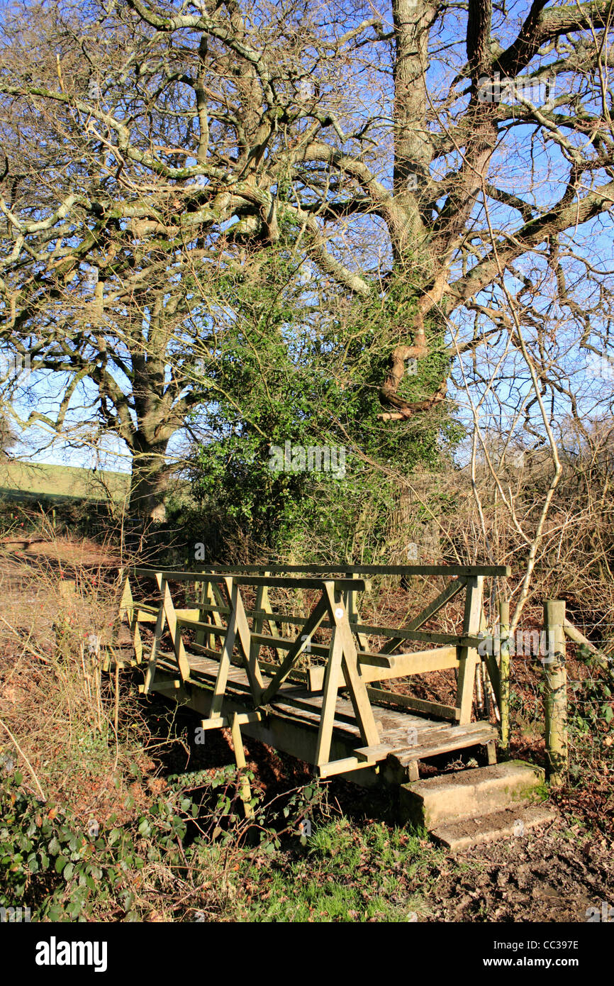 Il fiume Ouse Valley East Sussex England Regno Unito Foto Stock