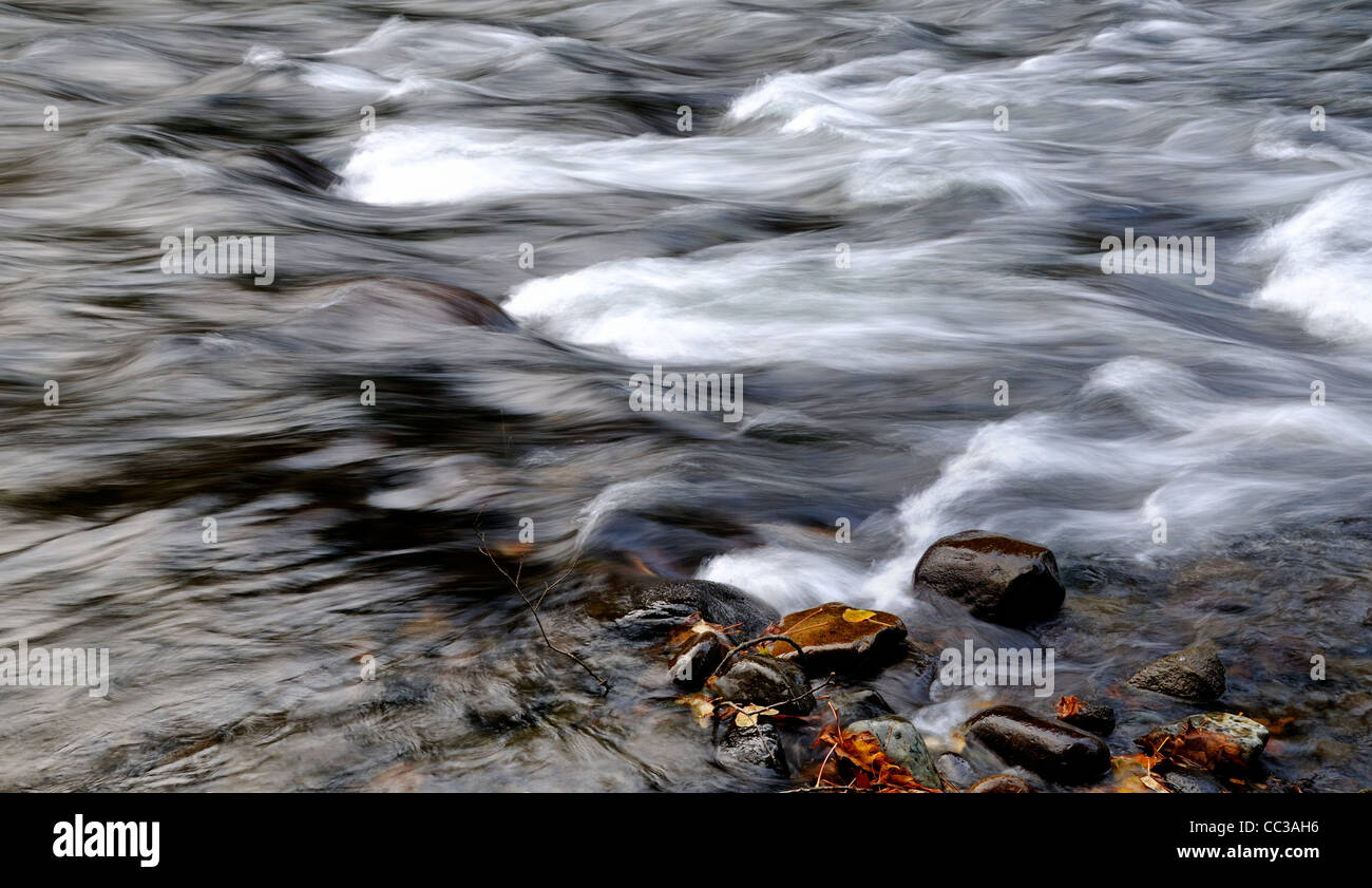 Dettaglio del veloce dell'acqua che scorre sul fiume Puntledge, Courtney,Comox Valley, l'isola di Vancouver, British Columbia, Canada. Foto Stock