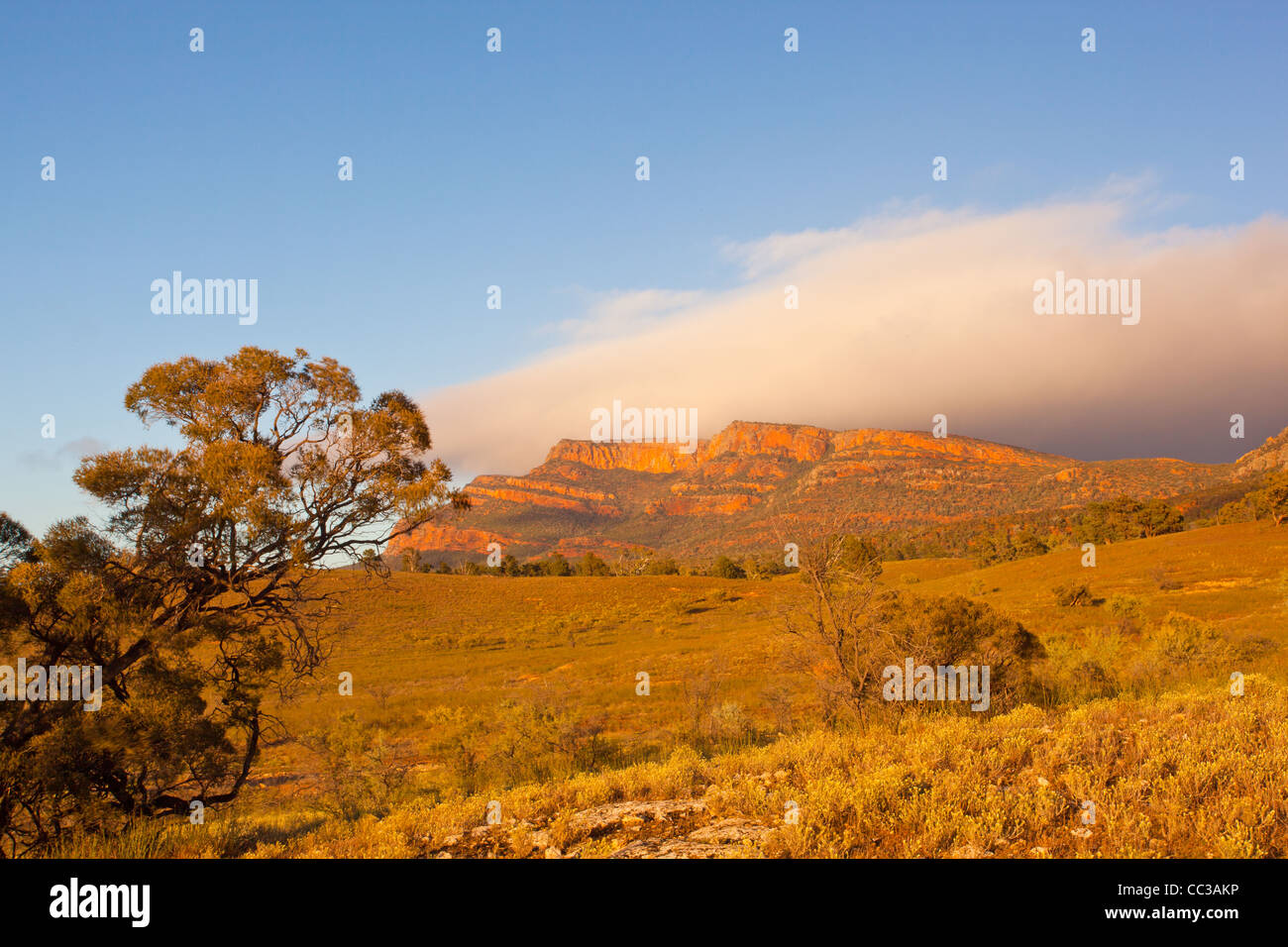 La mattina presto vista di Rawnsley Bluff e Wilpena Pound nel Flinders Ranges in outback South Australia, Australia Foto Stock