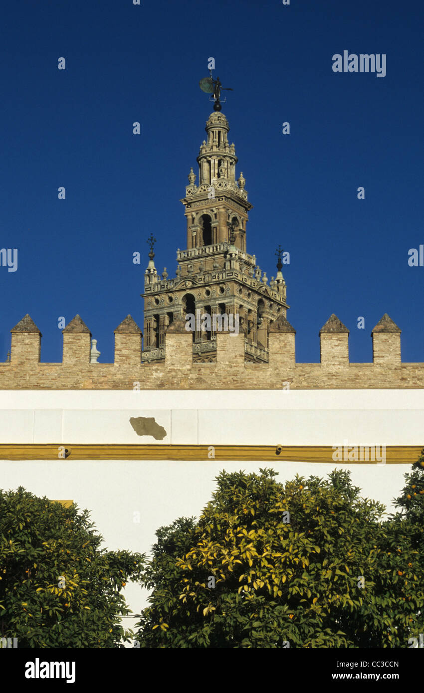 Reales Alcazares Palace parete e la torre Giralda, Siviglia, Spagna Foto Stock