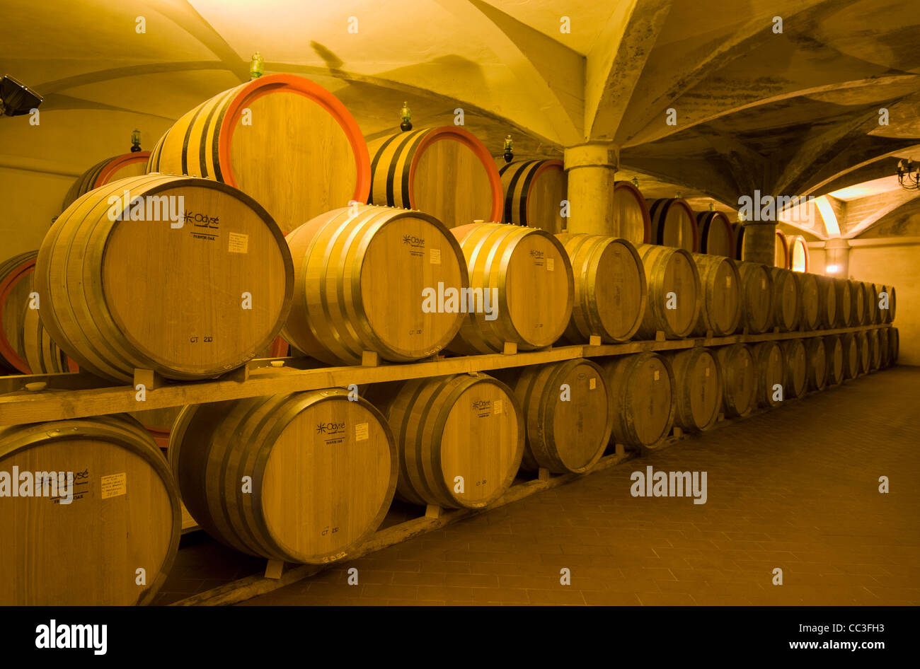 Invecchiamento del vino in botti di rovere a cantina con soffitto a volta in Montalcino, Toscana (Toscana), Italia Foto Stock