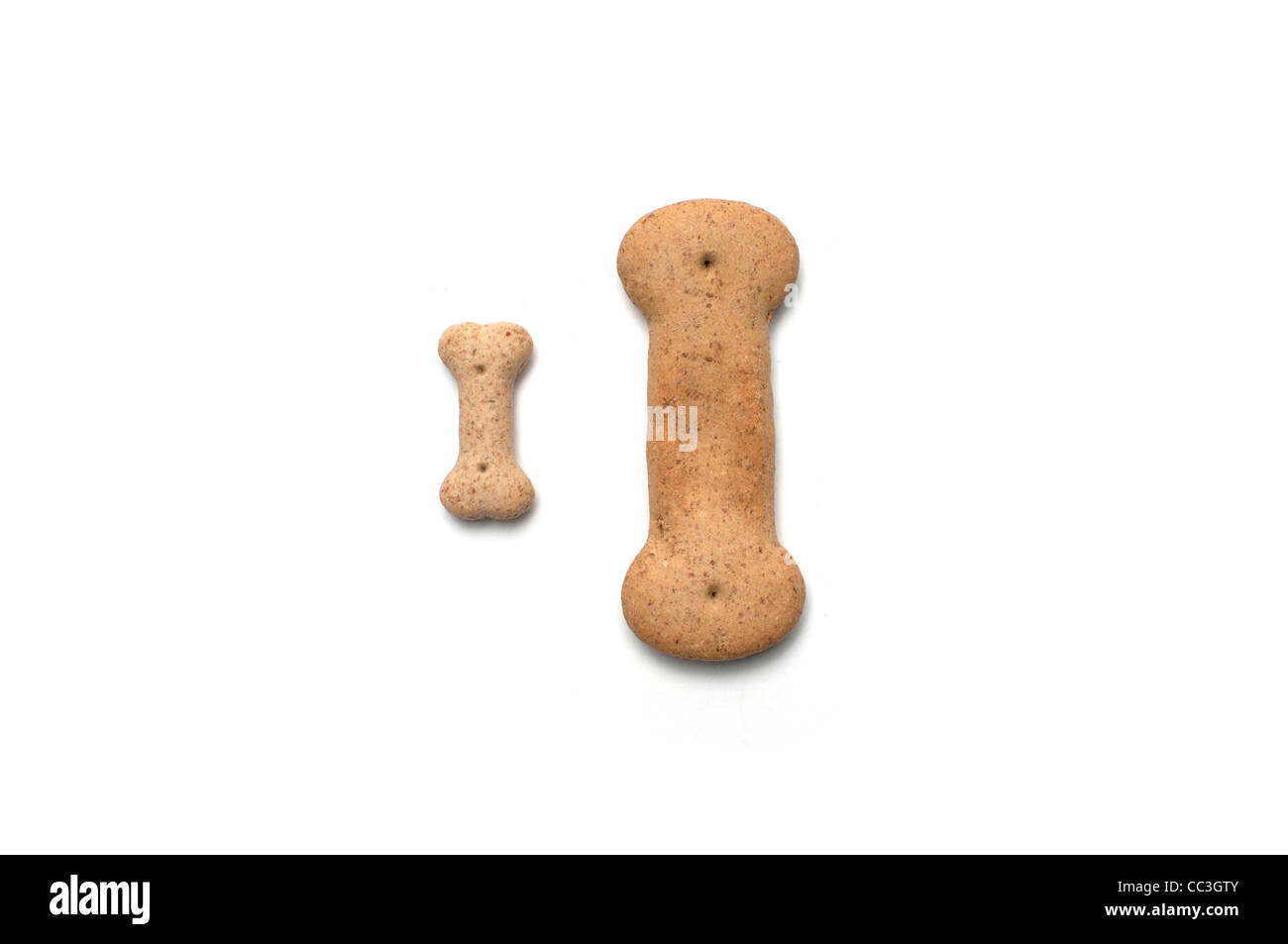 Una grande e una piccola a forma di osso di cane, biscotti fianco a fianco Foto Stock