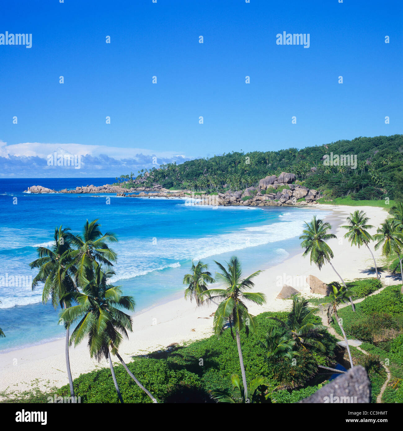 Spiaggia con palme, La Digue Island, Seicelle Foto Stock