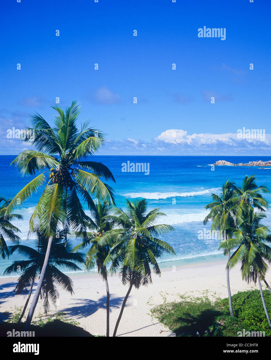 Spiaggia con palme, mare, La Digue Island, Seicelle Foto Stock