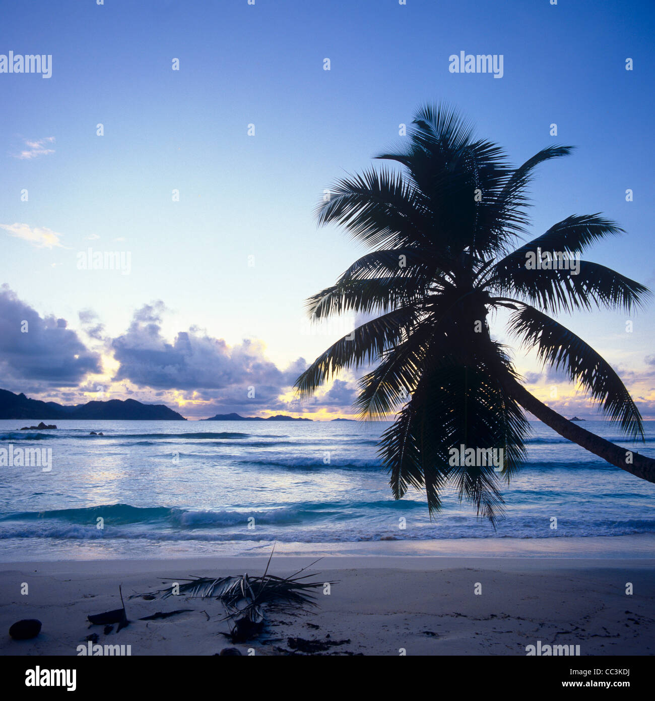 Palm Tree e il mare al tramonto, La Digue Island, Seicelle Foto Stock