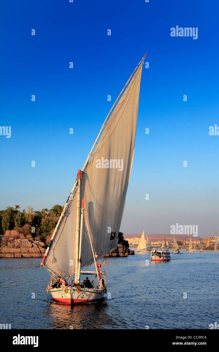 Feluche sul Nilo, Aswan, Egitto Foto Stock