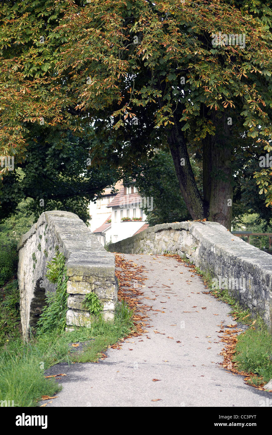 Immagine pacifica che mostra un piccolo vicolo su un antico ponte di pietra di fronte a grandi alberi e un piccolo villaggio al tempo di autunno Foto Stock