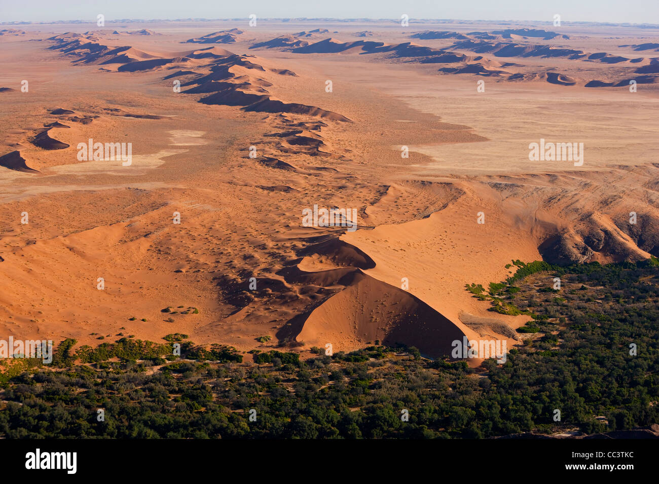 Desert incontra il verde di terra fertile, Namib Desert, Namibia vista aerea Foto Stock