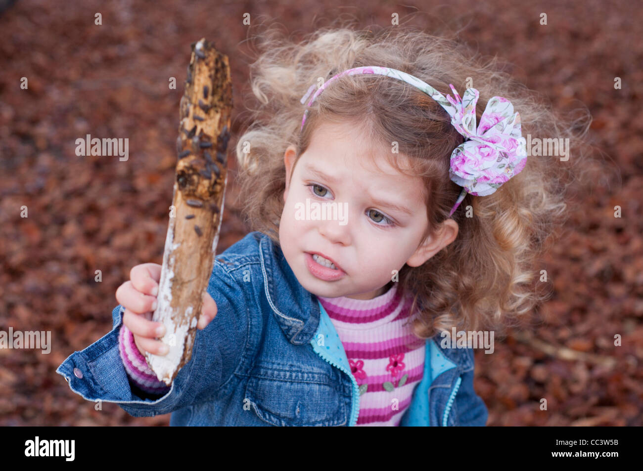 Ragazza giovane, tre anni, esplorare al di fuori. Ella è in attesa e guardando un bastone con woodlice ha trovato. Foto Stock