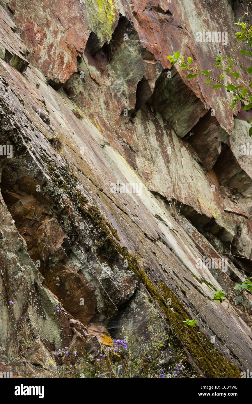 Rocce in montagna con MOSS e lychens-l'immagine verticale Foto Stock