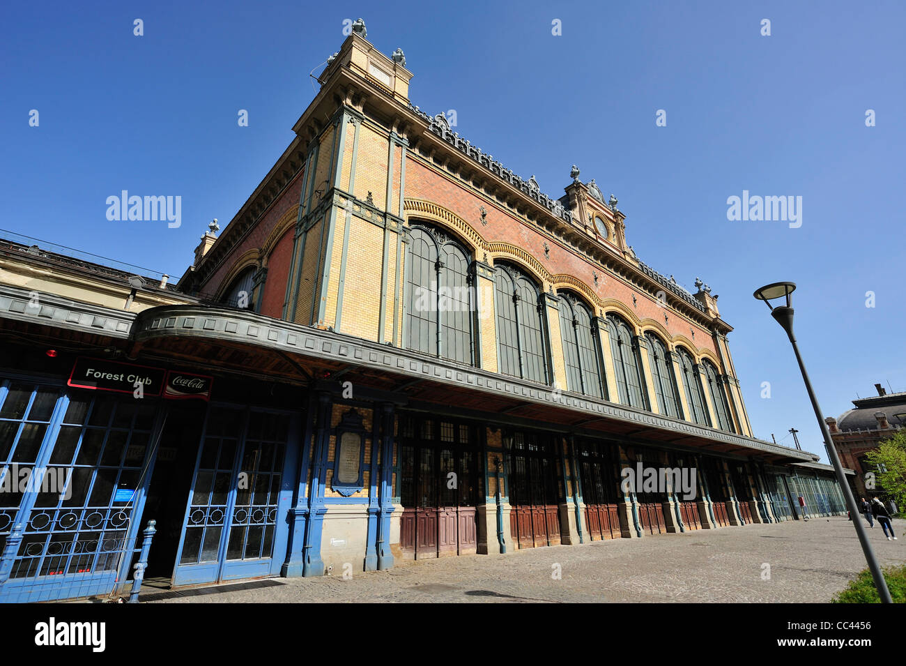 Nyugati stazione ferroviaria, Budapest, Ungheria Foto Stock