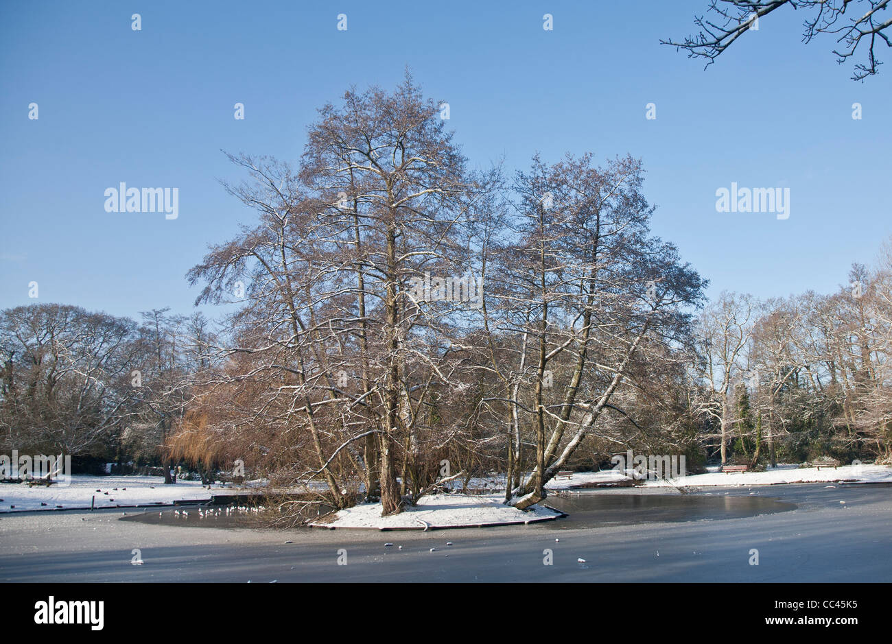 Ballard Lago New Milton Hampshire in inverno Foto Stock