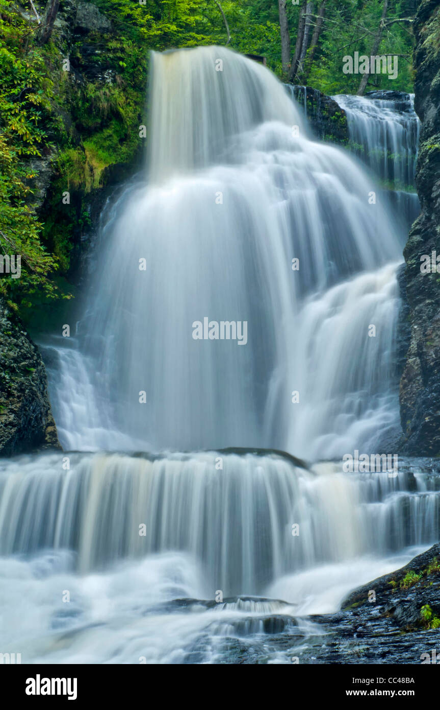 Stati Uniti d'America, Pennsylvania, Dingman il traghetto. Dingman di cascate e foreste. Credito come: Jay O'Brien Jaynes / Galleria / DanitaDelimont.com Foto Stock