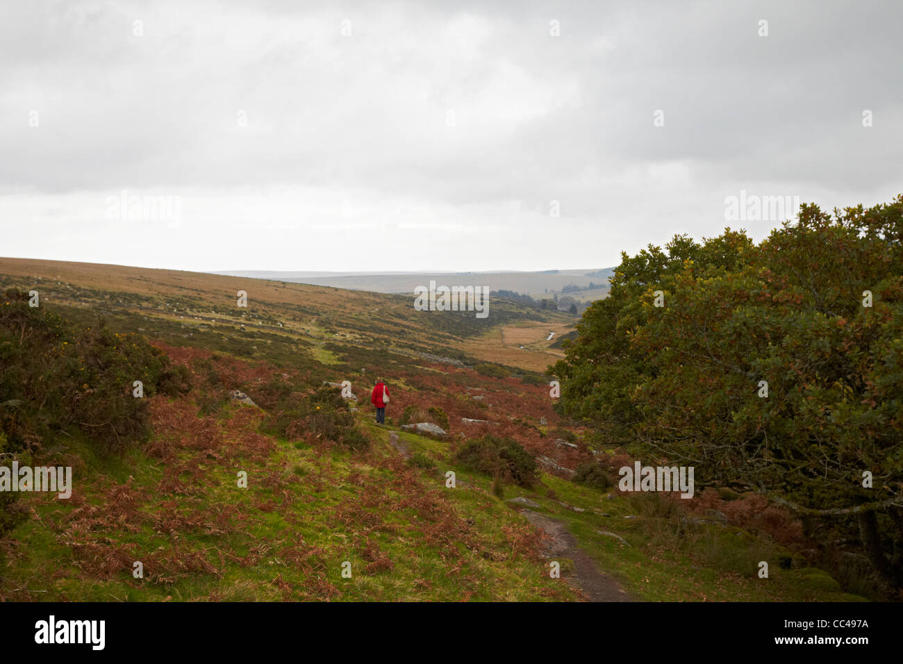 Parco Nazionale di Dartmoor camminare vicino a Wistman il legno Foto Stock