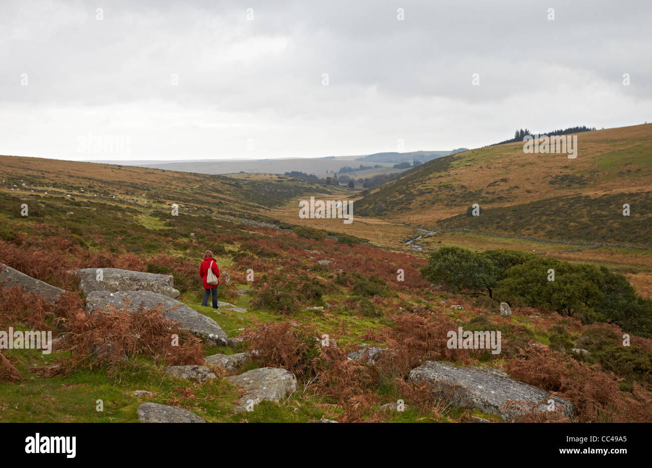 Parco Nazionale di Dartmoor camminare vicino a Wistman il legno Foto Stock