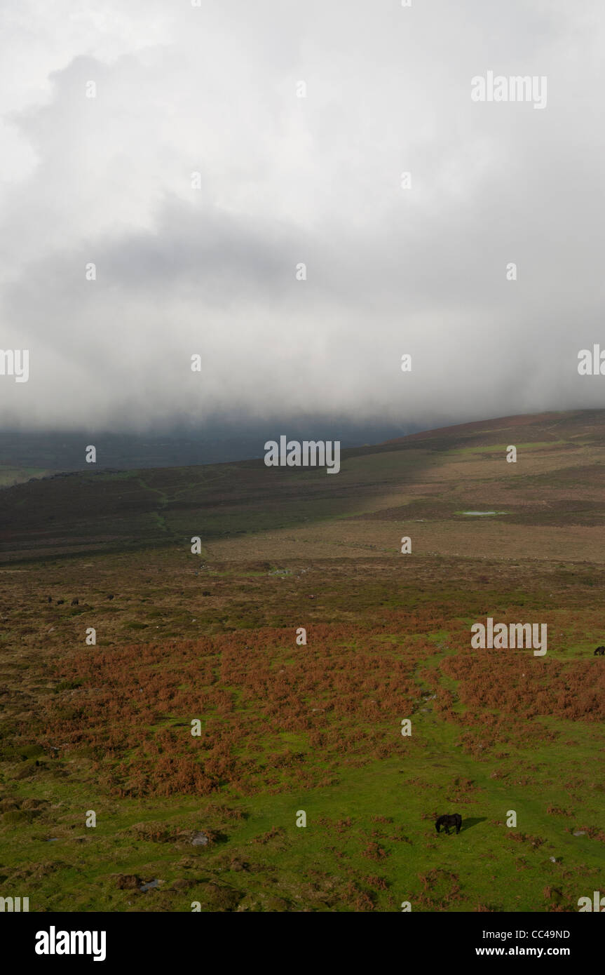 Vista Dartmoor da Haytor Rock in Devon Foto Stock