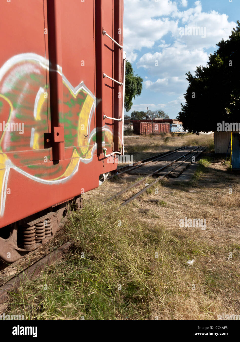 Coloratissimo graffito su un vecchio carro merci visualizzate su unused weed soffocato raccordo ferroviario a Oaxaca Railroad Museum Messico Foto Stock