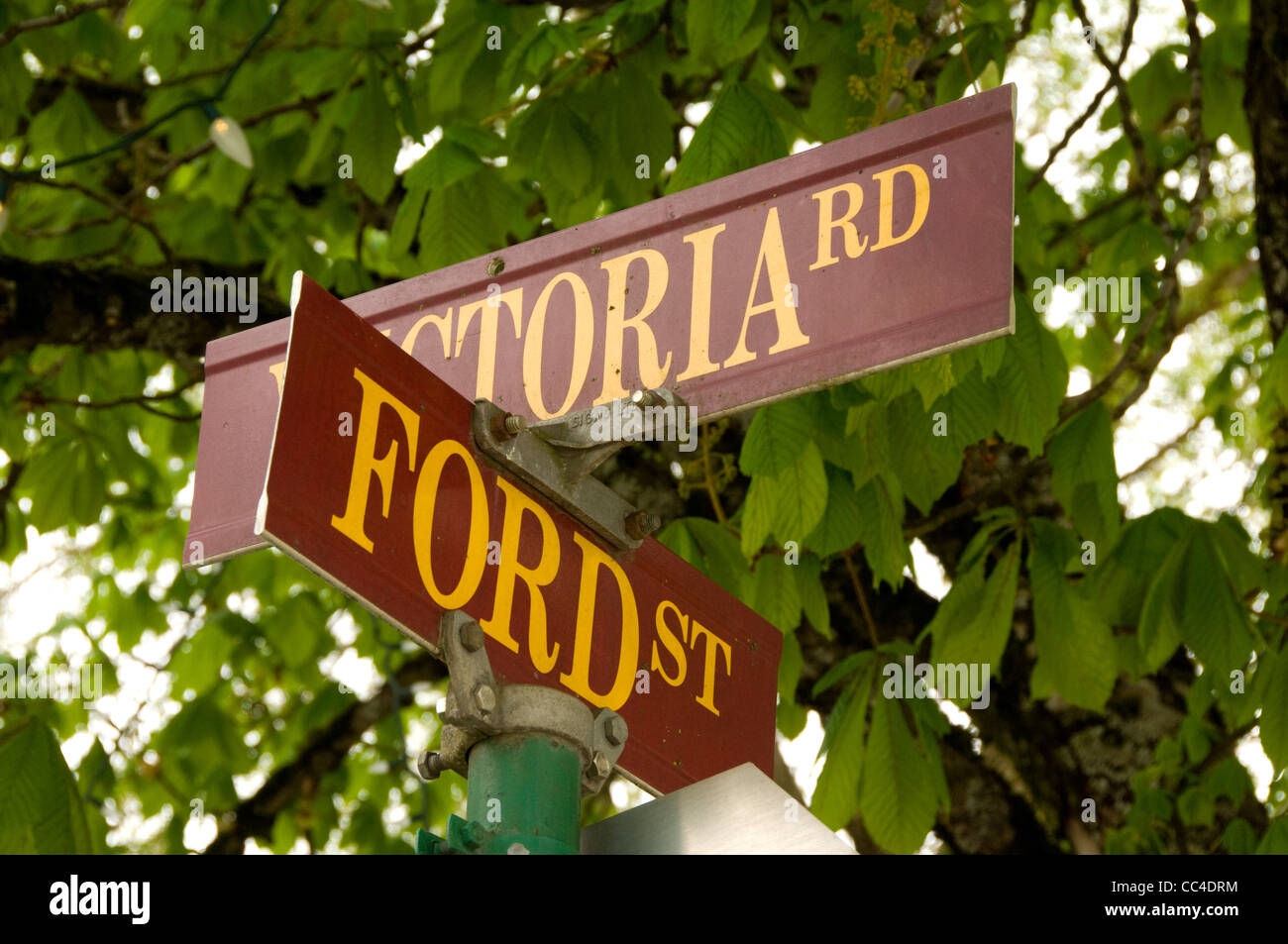 Ford Street, Revelstoke, British Columbia, Canada Foto Stock