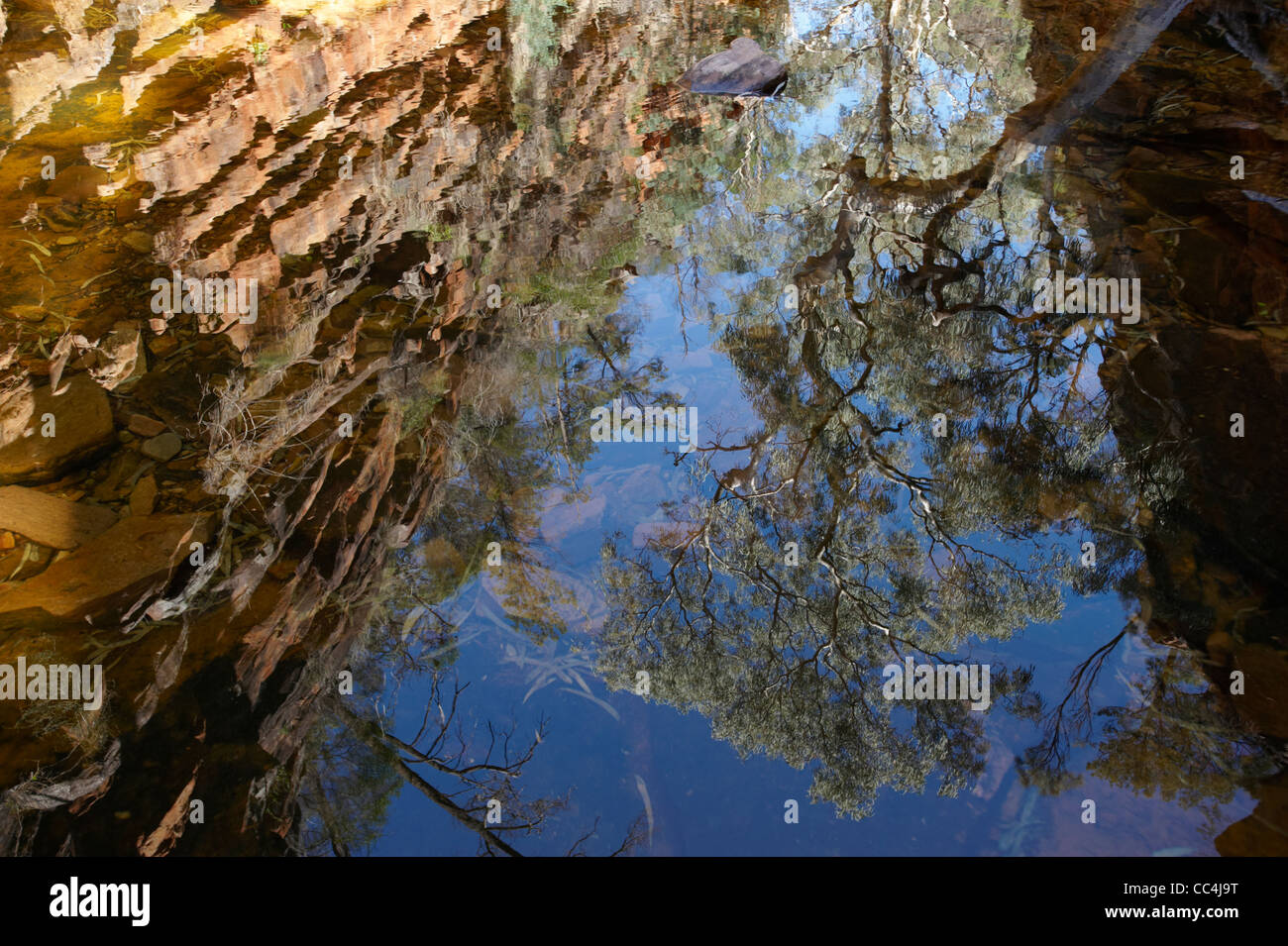 La riflessione in acqua di alberi e la parete del canyon a Alligator Gorge, Mount Remarkable National Park, Sud Australia, Australia Foto Stock