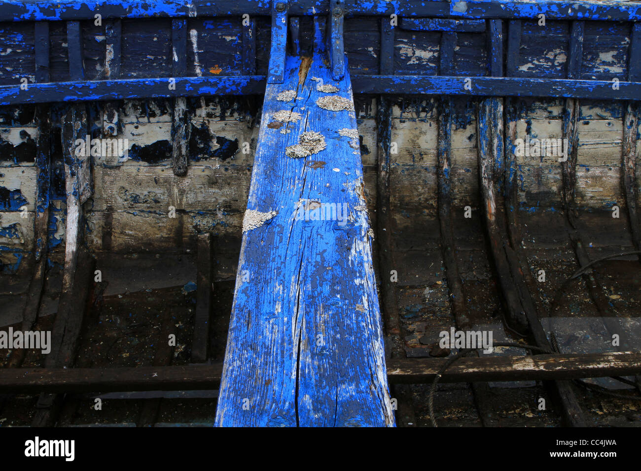 Blue spiovente sul banco tradizionale irlandese della pesca in legno barca. Foto Stock
