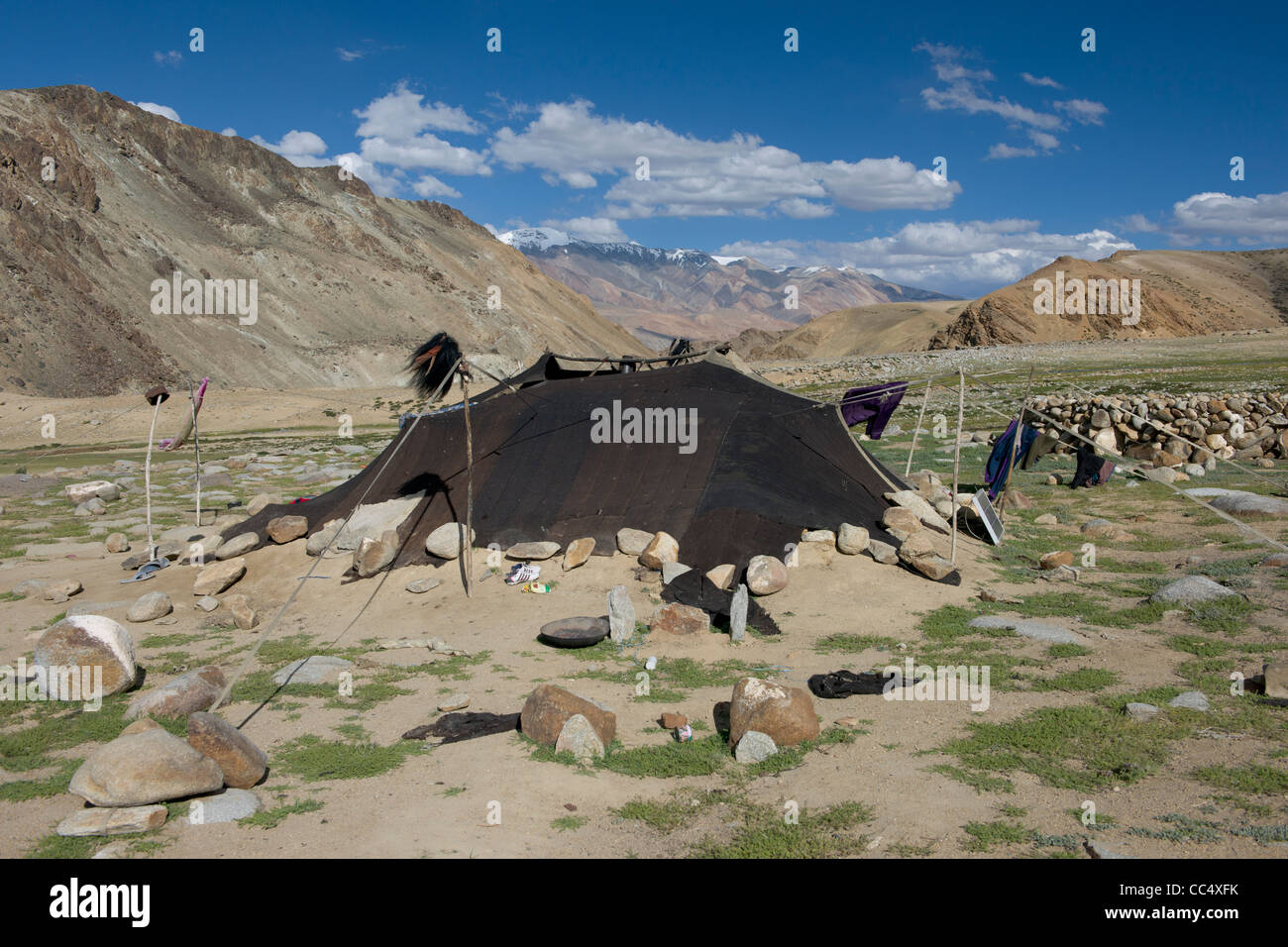 Chang-pa nomad yak-lana tenda sul robusto pianura al di sopra di Korzok, montagne innevate dietro, Lago Tsomoriri, (Ladakh) Jammu e Kashmir India Foto Stock