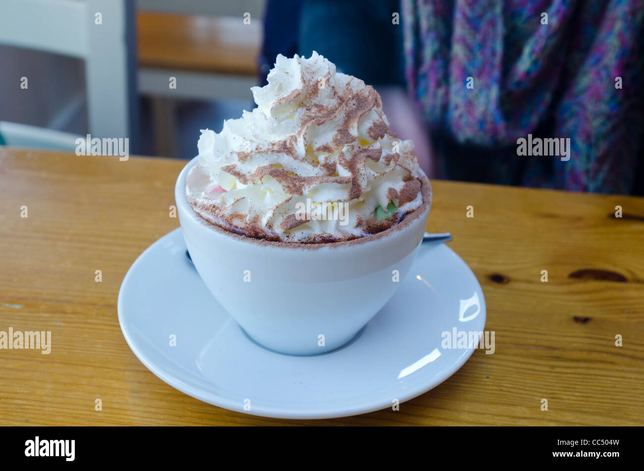 Una grande tazza di cioccolata calda con panna montata, marshmallows e spolverata di cacao Foto Stock Una grande tazza di cioccolata calda con panna montata, marshmallows e spolverata di cacao Foto Stock