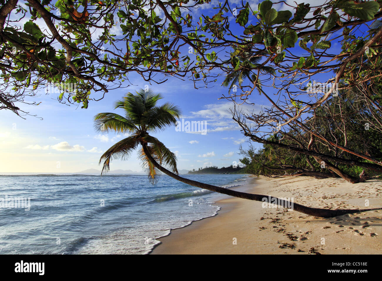 Spiaggia alle Seychelles Foto Stock
