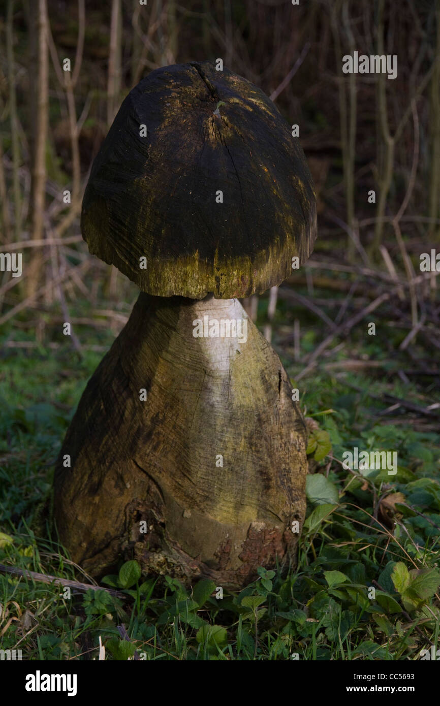 Un fungo in legno scultura che si erge al di fuori dei resti di Craighall Den fornace di calce vicino a Cerere, in Fife, Scozia Foto Stock