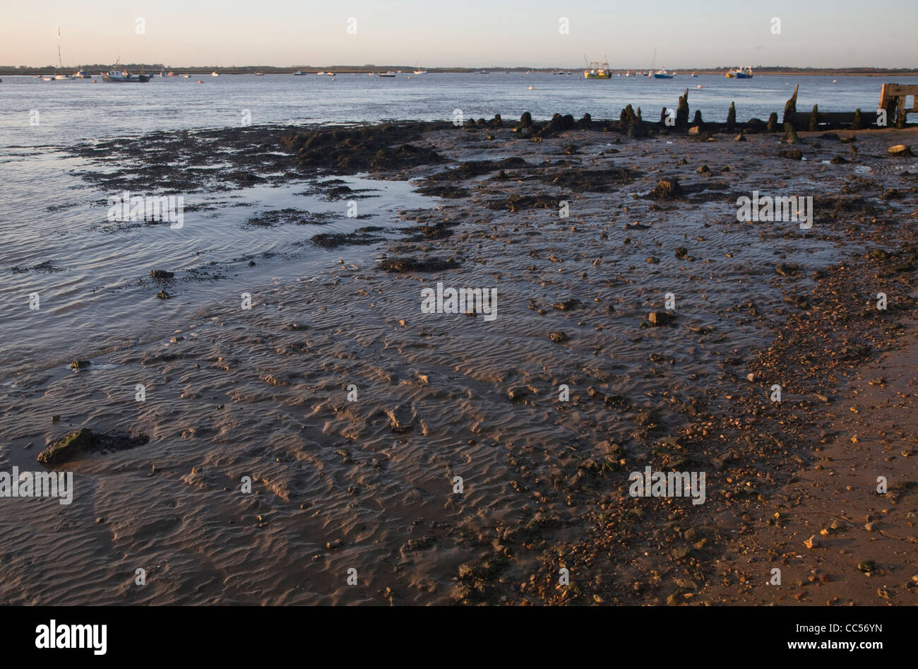 La bassa marea la spiaggia al tramonto in inverno, Bawdsey Quay, Suffolk, Inghilterra Foto Stock