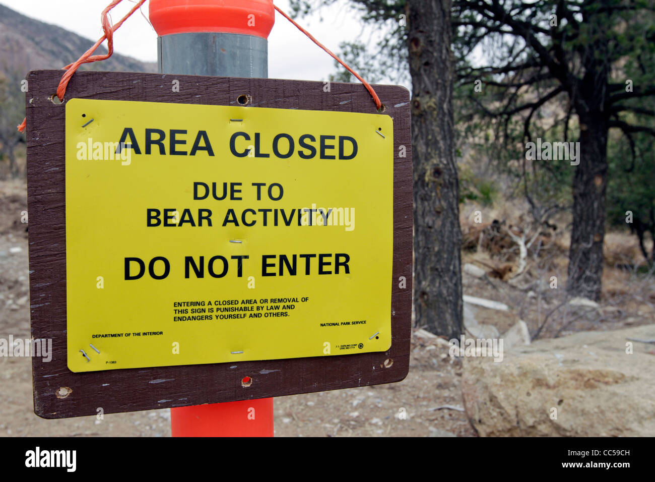 Segno nel Parco nazionale di Big Bend, Texas, Avviso ai visitatori della presenza di orsi. Foto Stock