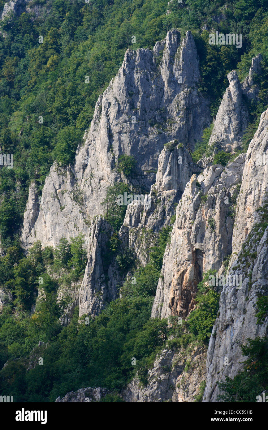 Calcare pareti di roccia nella valle di Zadielska, Slovensky Kras National Park, Slovacchia Foto Stock
