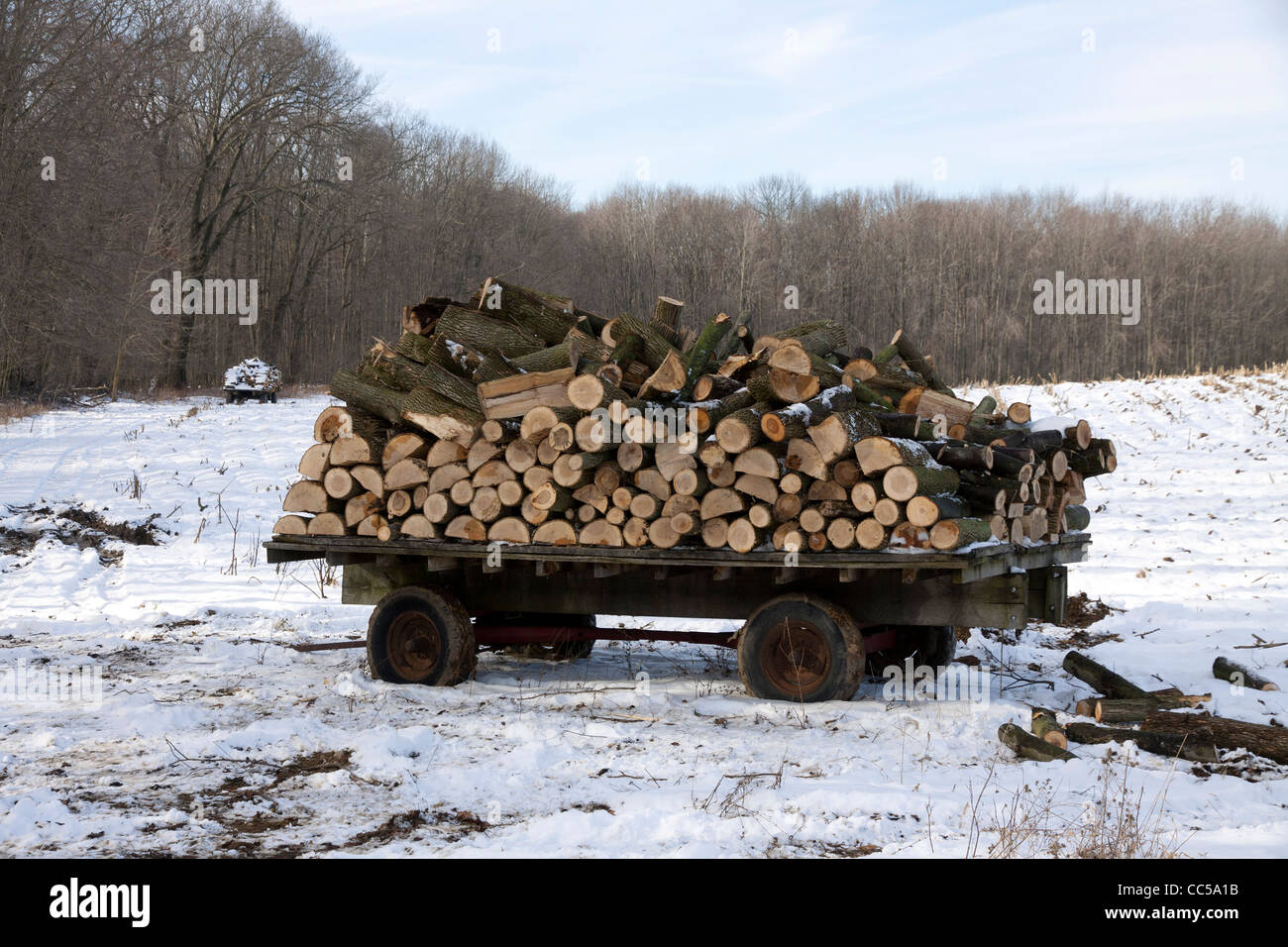 Legna da ardere impilati sul carro, inverno, Michigan STATI UNITI Foto Stock
