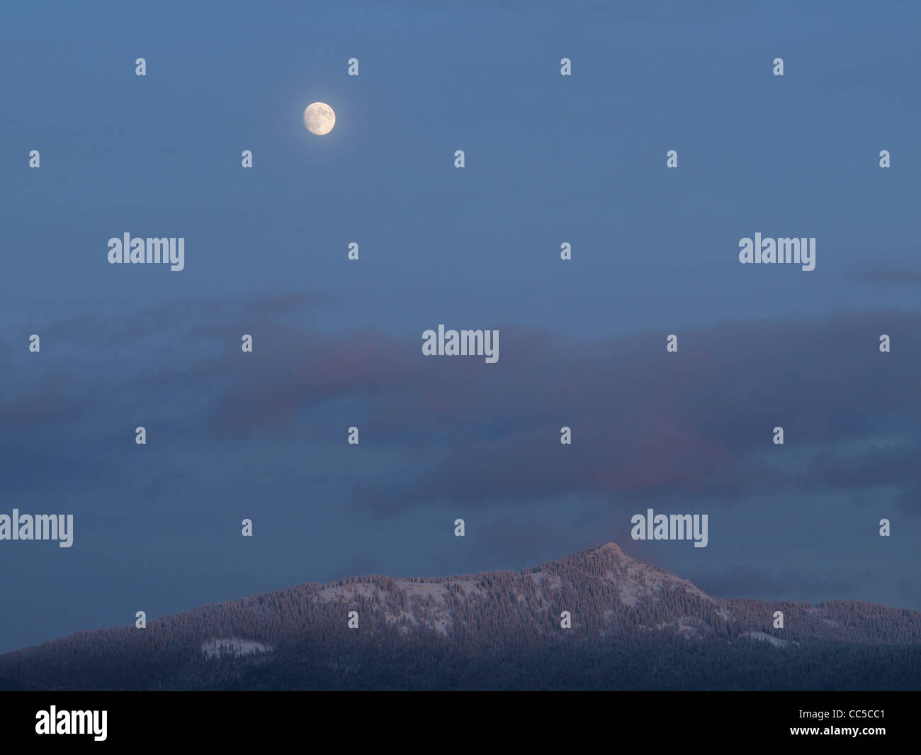 Paesaggio invernale mountain Osser, Foresta Bavarese, Germania / Winterlandschaft Berg Osser, Bayerischer Wald, Deutschland Foto Stock