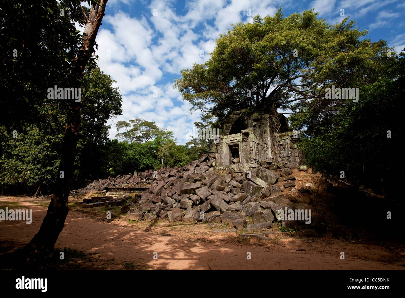 Beng Mealea, tempio di Angkor area, Siem Reap, Cambogia, Asia Foto Stock