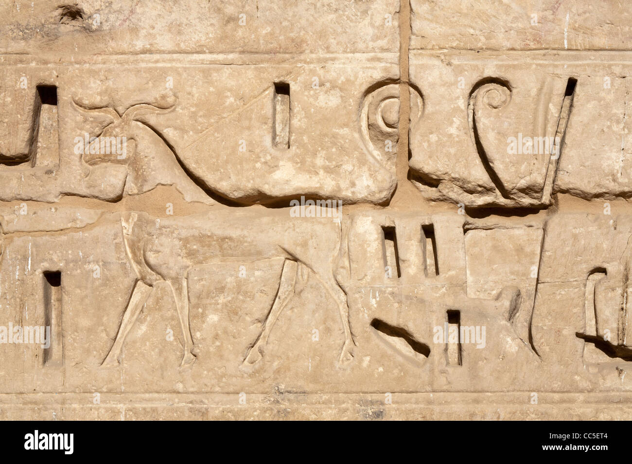 Vista di rilievo nel tempio mortuario del faraone Ramesse III, Medinet Habu, West Bank, Luxor, Egitto Foto Stock