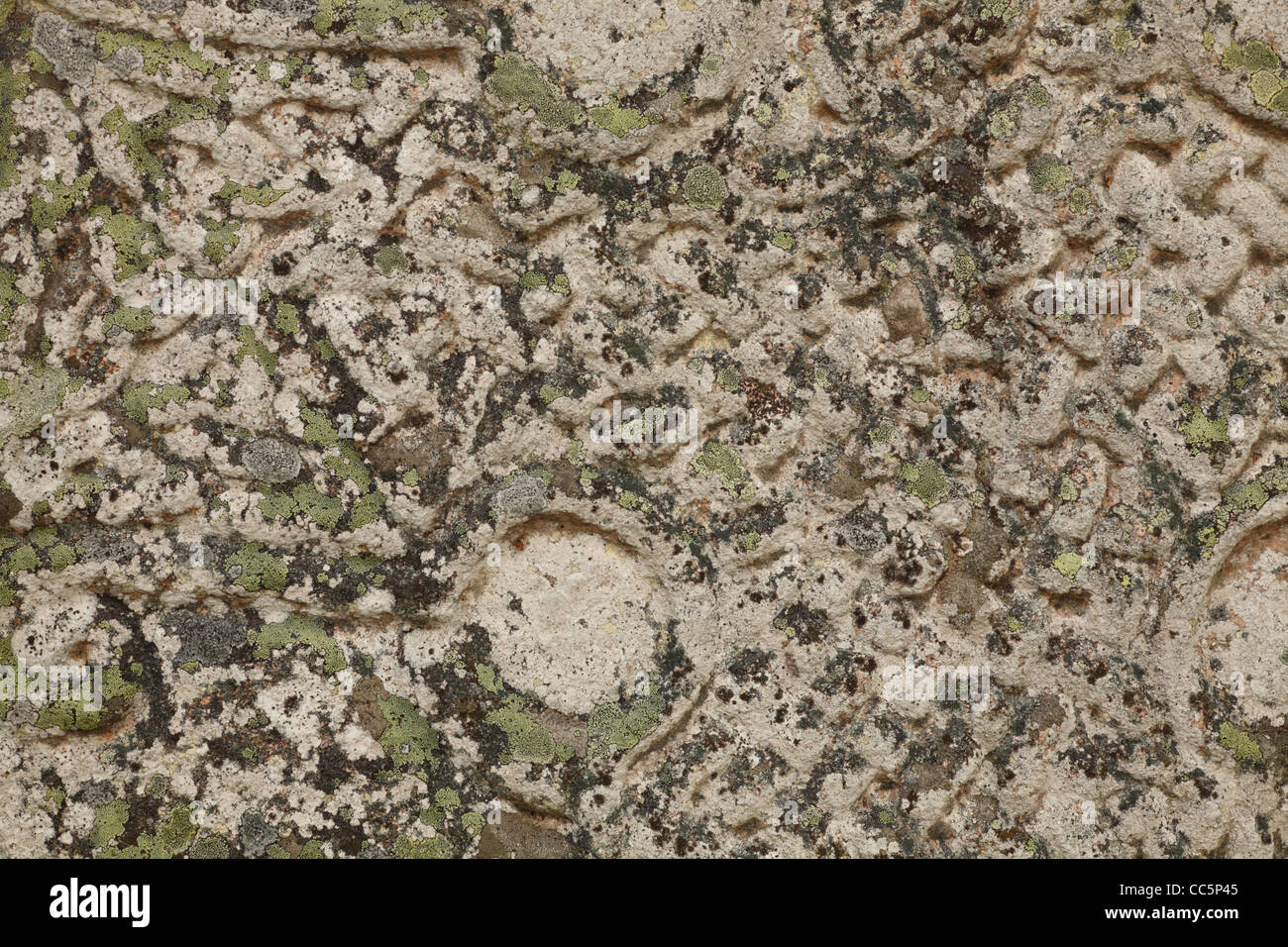 I licheni su un scolpito Pictish Croce di granito. Muir of Dinnet Riserva Naturale Nazionale, su Deeside, Aberdeenshire, Scozia. Foto Stock