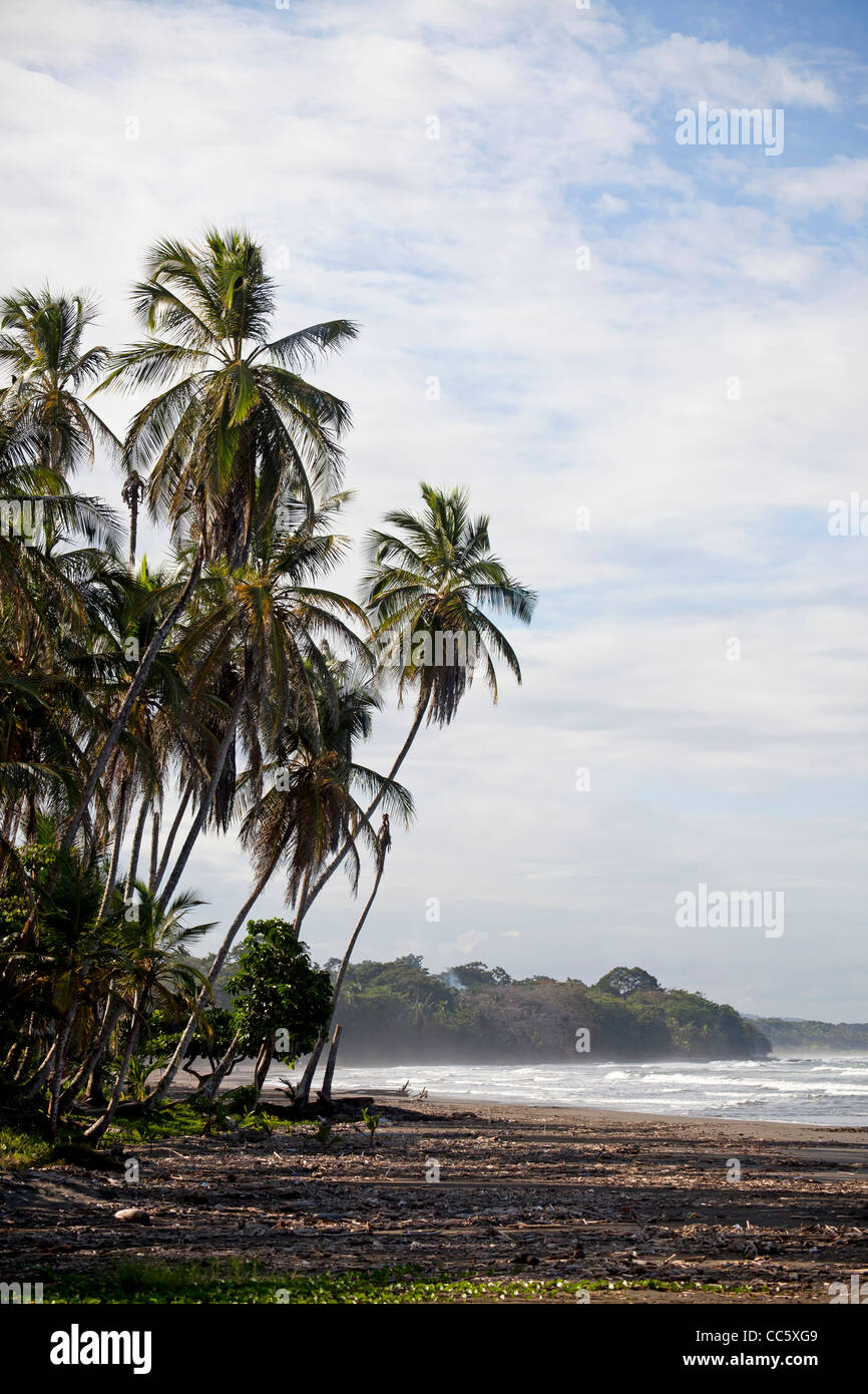 Playa Negra, una spiaggia nera presso la costa dei Caraibi in Cahuita, Costa Rica, America Centrale Foto Stock