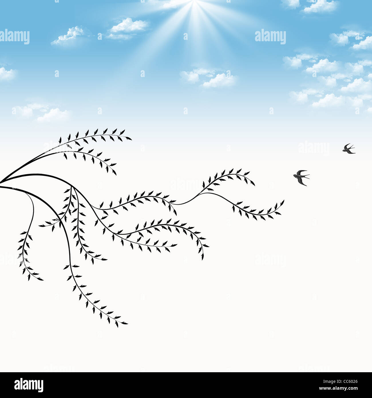 Ramo di salice e uccelli isolato sul cielo blu sullo sfondo Foto Stock