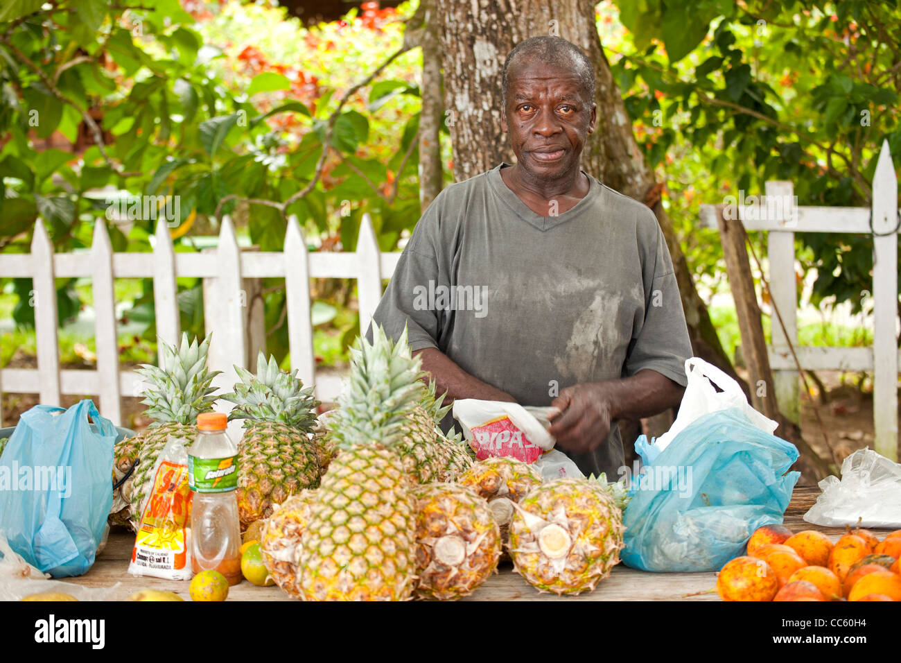 Venditore ambulante con frutti in Cahuita, Costa Rica, America Centrale Foto Stock