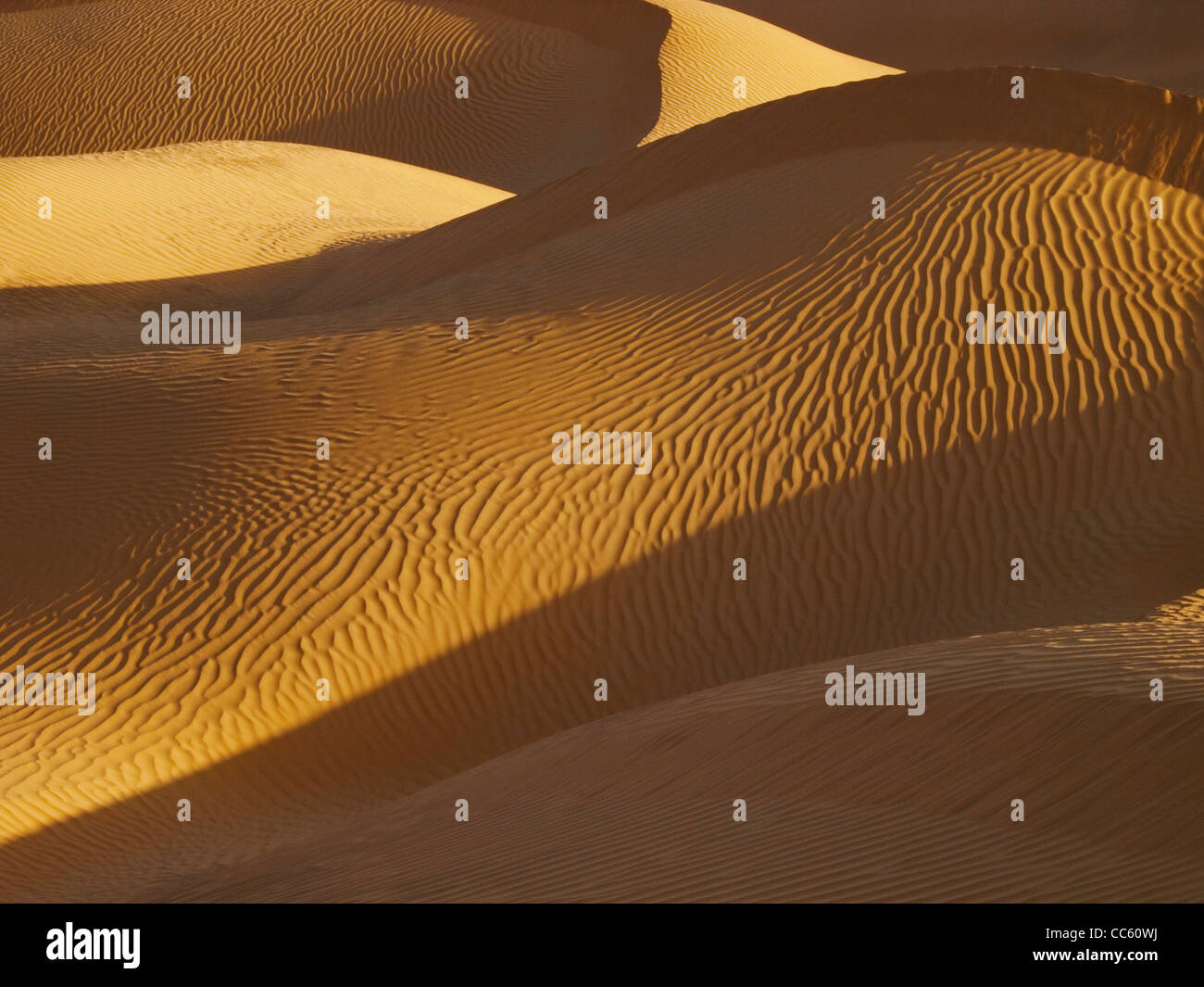 Deserto Taklamakan, Xinjiang Uyghur Regione autonoma, Cina Foto Stock