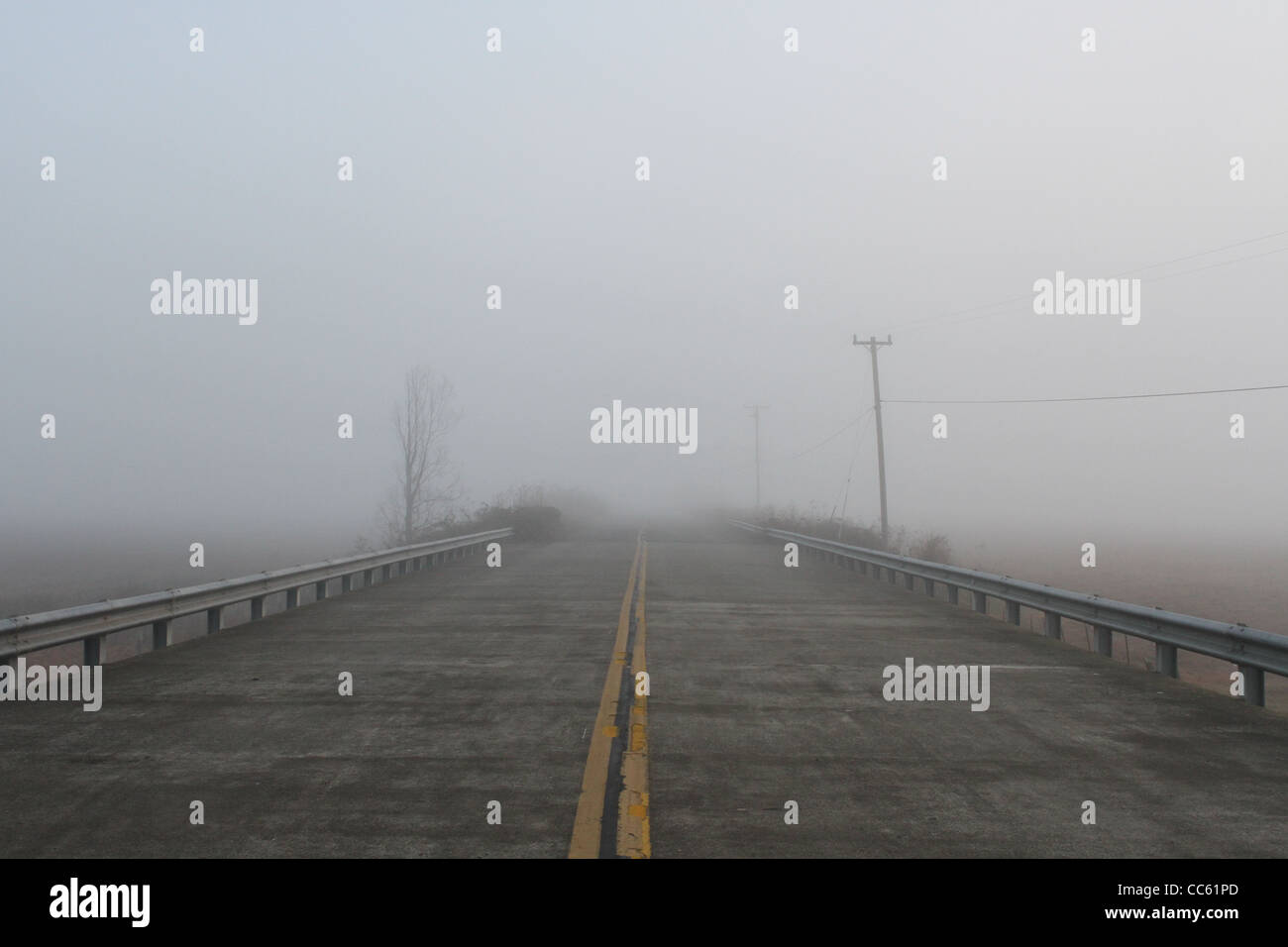 Una strada in caso di nebbia apparentemente conduce al nulla. Foto Stock